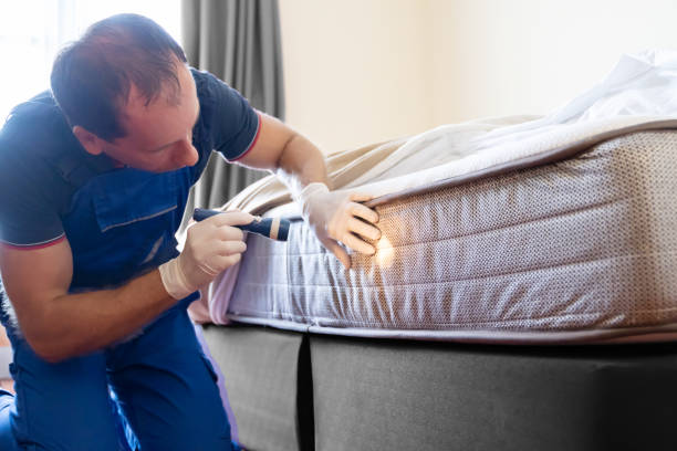 Best Fumigation Services  in Hawley, PA